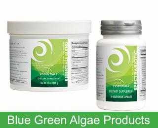 Improve Your Horse's Health