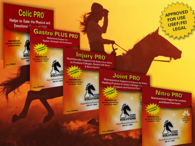 Get Your Horse back to Health