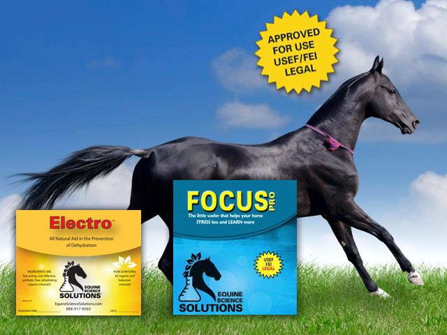 Improve Your Horse's Health