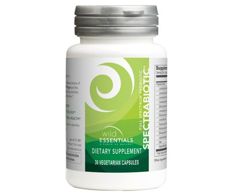 Electro will improve your horse's performance and recover after stress