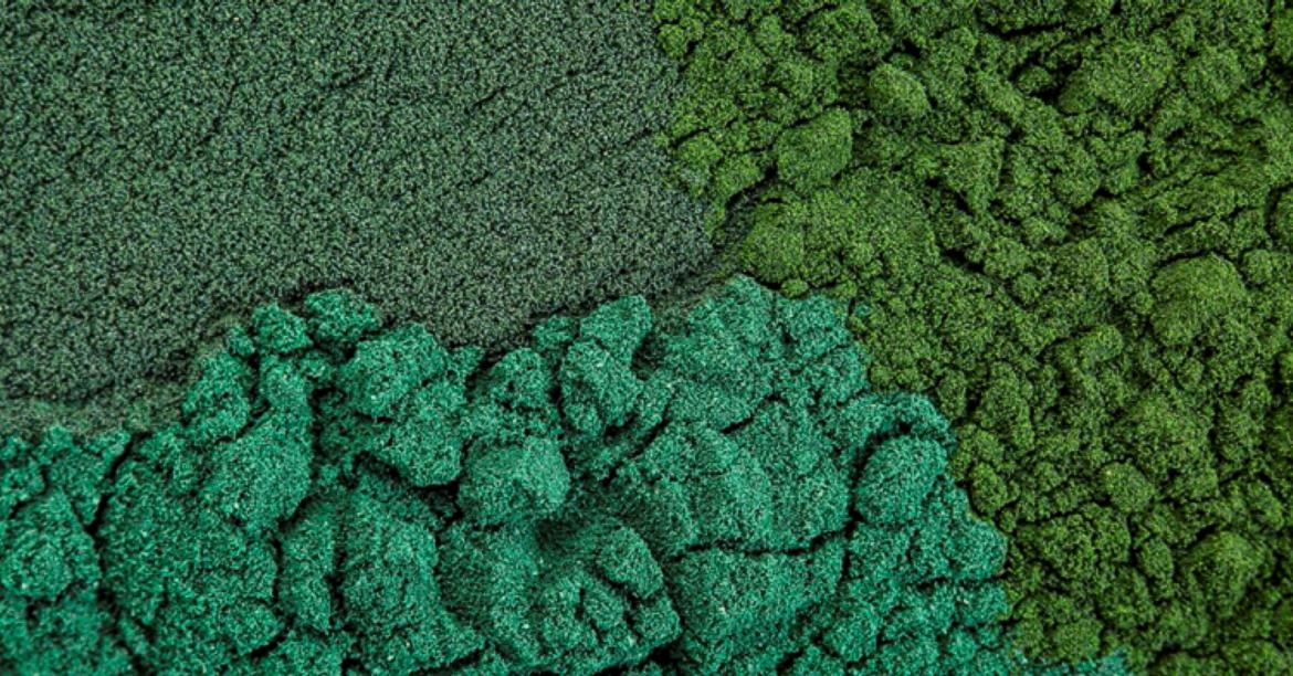 Equine Science Solutions