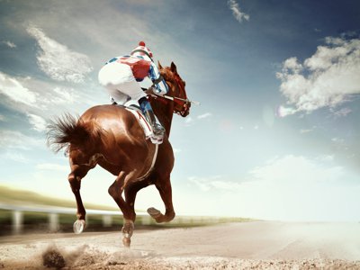 Nutritional Support for Cushings