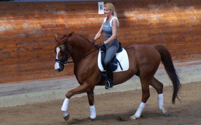 Balancing Hormones & Preventing Ulcers