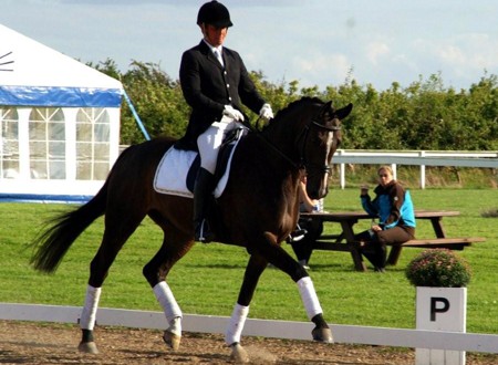 Help Your Horse Stress Less and Focus More