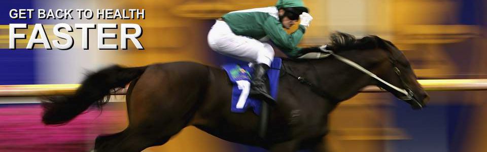 When your horse is suffering from Colic, Ulcer or Stomach Problems, Laminitis, Wounds, or Bone Injuries, Soft Tissue, Joint, or Tendons Problems