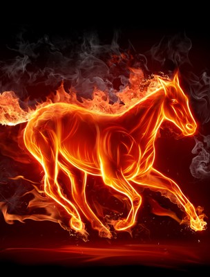 Resolves Laminitis (Founder), Cushings and Sore Feet