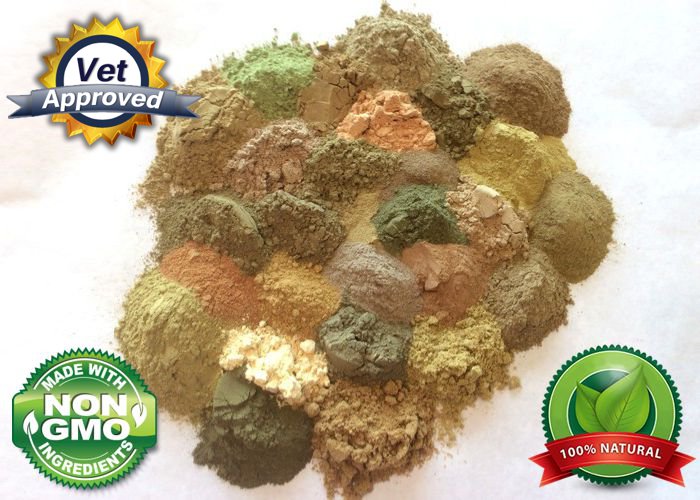 Natural Feed Nutrients for Your Horse