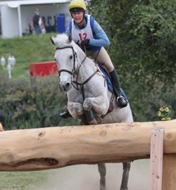 Ulcer and Stomach Problems in Horses