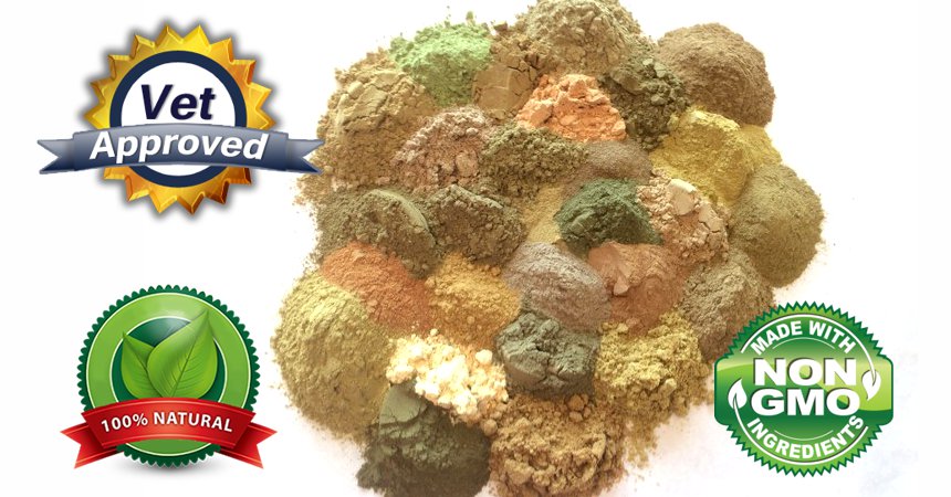 Equine Science Solutions