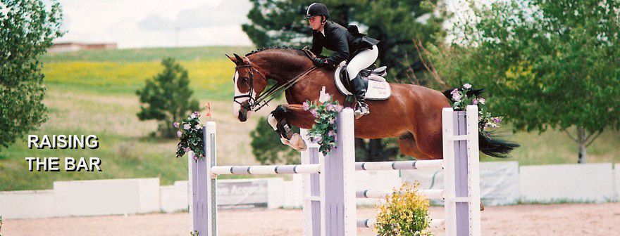 Prevent the Re-Occurrence of Laminitis