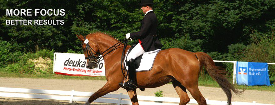 Balancing Hormones & Preventing Ulcers