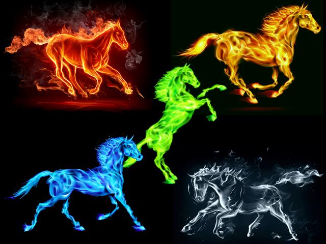 Improve Your Horse's Health