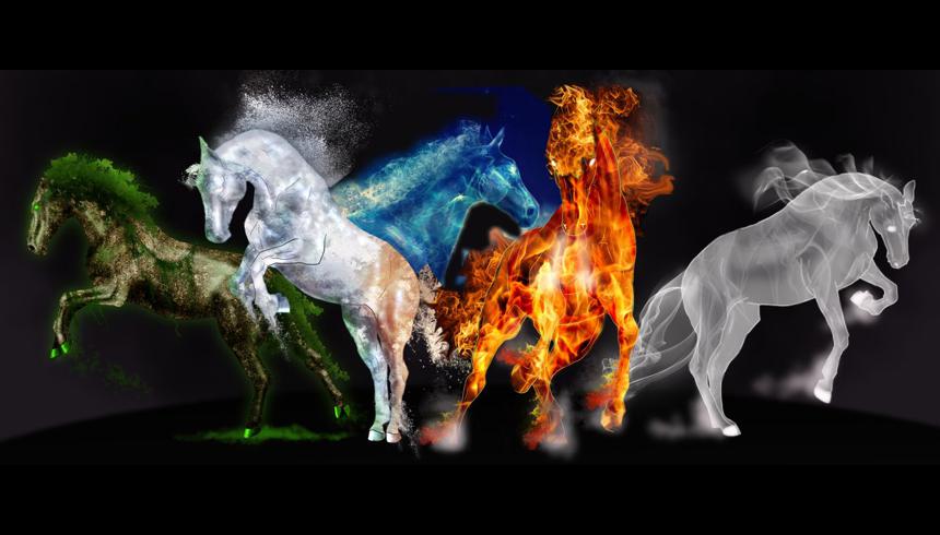 Equine Science Solutions