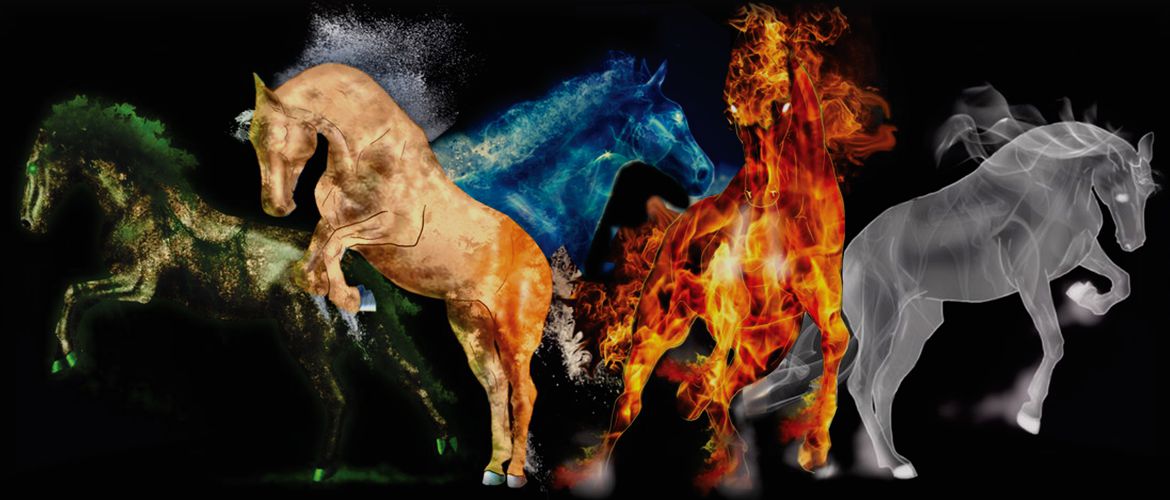 Online Class to become a Horse Temperament Typing Consultant