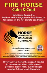 Temperament Balancing Formulas for Earth Horses