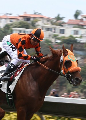 Ulcer and Stomach Problems in Horses