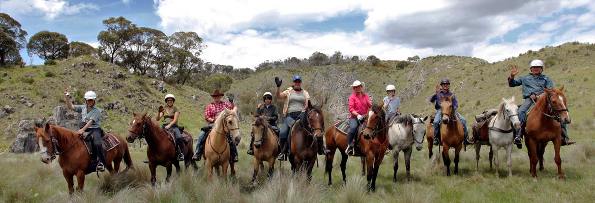 Natural Feed Nutrients for Your Horse